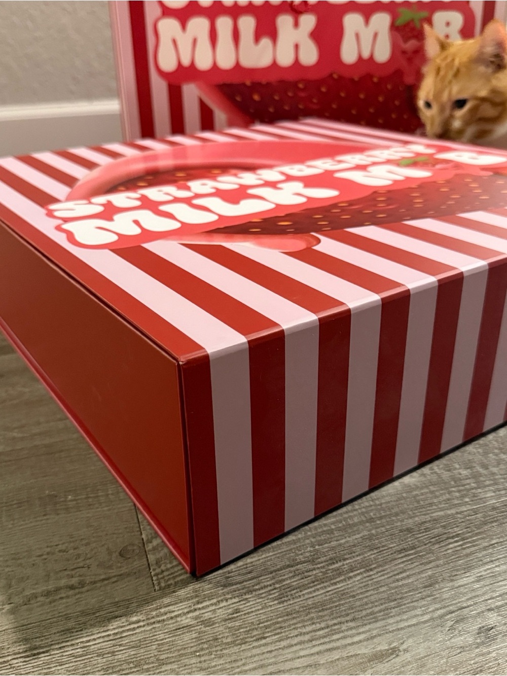 Strawberry Milk Mob - Advent Calendar BOX AND BAG ONLY - Picture 3 of 6